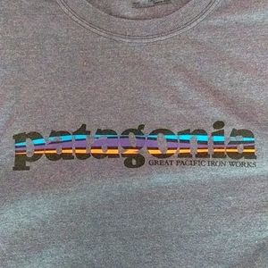 Patagonia long sleeve blue/gray t-shirt.